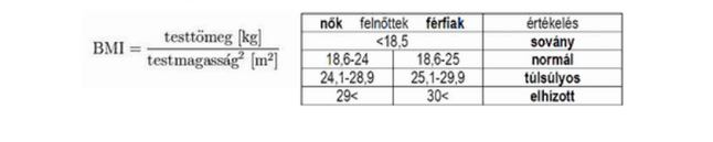 testtomeg-index-szemelymerleg